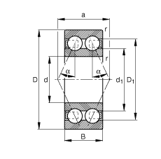 ǽ|S 3006-B-TVH, p|  = 25